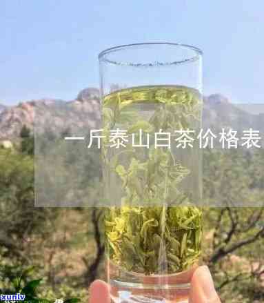 如何打开普洱茶饼长方形密封袋的子