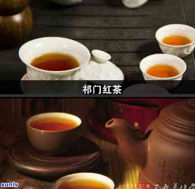 门红茶冲泡度是多少？