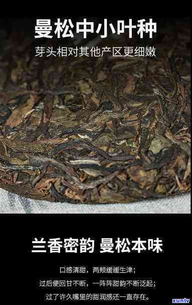 曼松贡茶黄金叶价格-曼松黄金叶属于什么茶叶