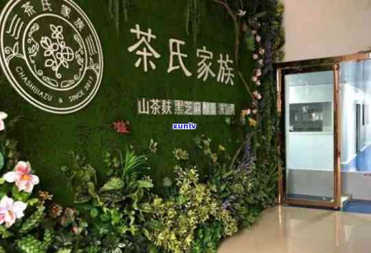 茶氏家族加盟费是多少？详解加盟流程及费用详情