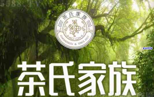 茶氏家族加盟费是多少？详解加盟流程及费用详情