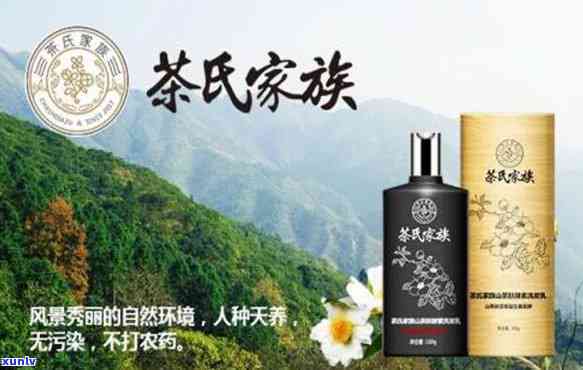 茶氏家族效果好不好，探究茶氏家族的效果：一次全面的评估