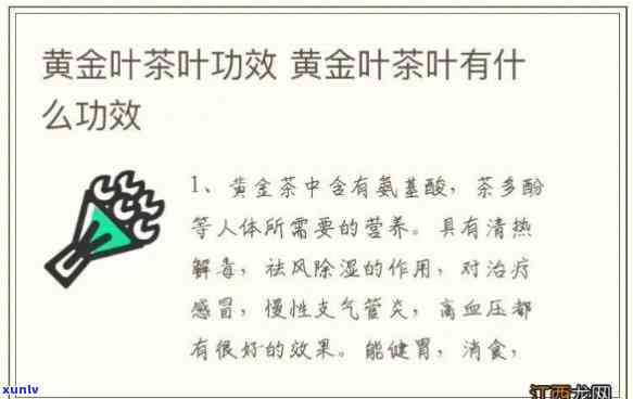 金叶茶的功效及价格-金叶茶的功效与作用