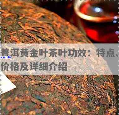 普洱茶可以减肥刮脂吗女性：探究普洱茶对女性减肥的影响