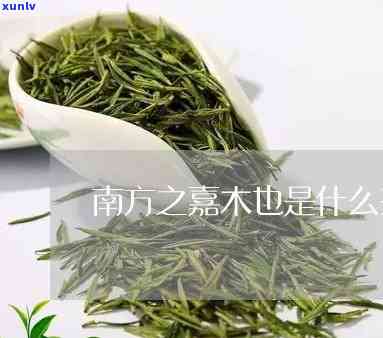 南方嘉木茶价格多少，南方嘉木茶的价格是多少？一探究竟！