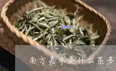 南方嘉木茶一般价格-南方嘉木茶一般价格多少