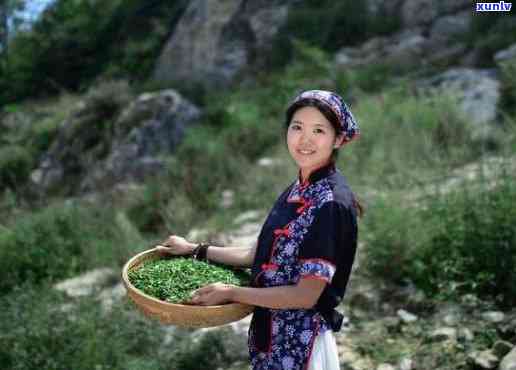 女儿茶由来的神秘传说