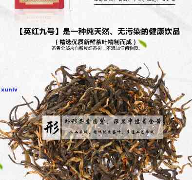 3有机英德红茶价格-t3有机英德红茶价格