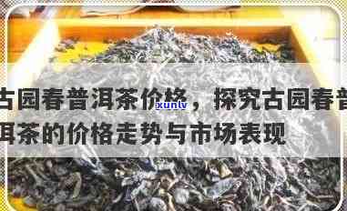 古洞春野茶王属于什么茶什么价位啊，探寻古洞春野茶王：茶叶品种及价格解析