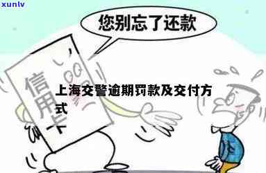 上海交规罚款逾期怎么办，怎样解决上海交规罚款逾期？