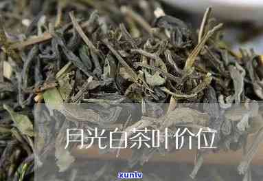 古和古茶月光白价格-古和古茶月光白价格 70克