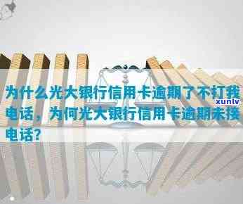 翡翠鱼缸价格指南：如何选择合适的镶嵌翡翠鱼缸，了解市场行情和费用分析