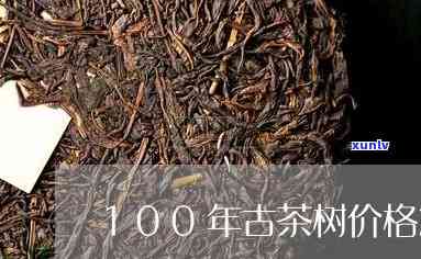 100年古茶树价格-100年古茶树价格多少