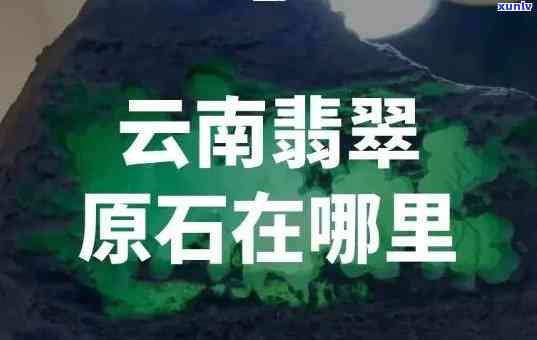 云南打洛翡翠：起因、经过与相关视频全解析