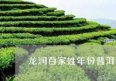 龙润茶百家姓价格表-龙润百家姓茶怎么样