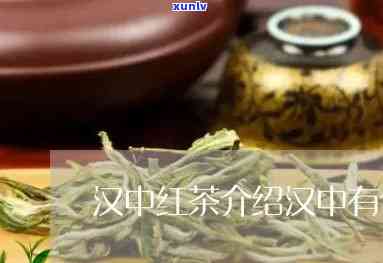 汉中红茶怎么样，深度解析：汉中红茶的口感、产地和功效，你了解多少？