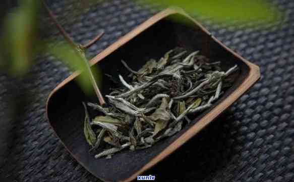 福鼎荒野牡丹茶价格多少？最新市场行情解析