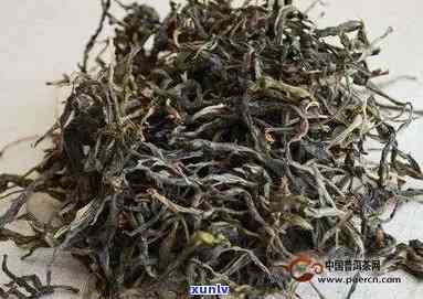 最贵茶树排行：全球十大顶级名茶价格大揭秘