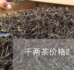 高马二溪千两茶价格-高马二溪千两茶价格2015