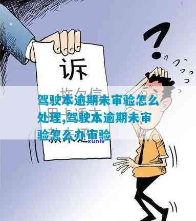 上海驾照逾期审证攻略：如何进行有效审核？