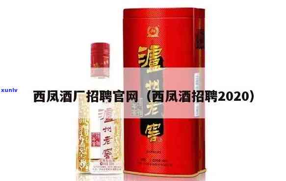 陕西风酒业：官网、 *** 信息一网打尽