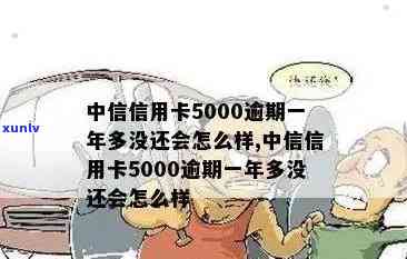 中信信用卡5000逾期一年多未还，后果严重：利息多少？