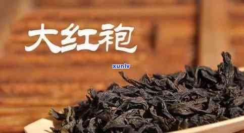 探究中国最贵的茶产地：哪里的茶叶价值连城？