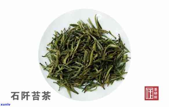 石阡苔茶的品种特征，探秘石阡苔茶：独特品种特征解析