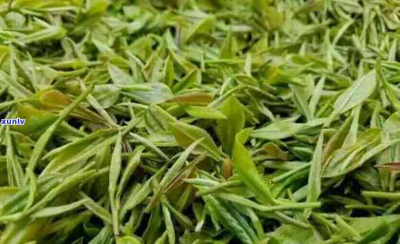 石阡苔茶的品种特征，探秘石阡苔茶：独特品种特征解析