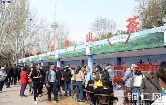 石阡苔茶翠芽价格表-石阡苔茶翠芽价格表和图片