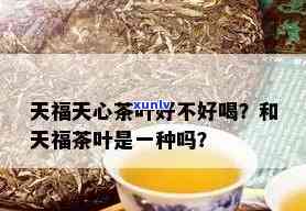 天福天心茶叶什么档次，解析天福天心茶叶的档次与品质