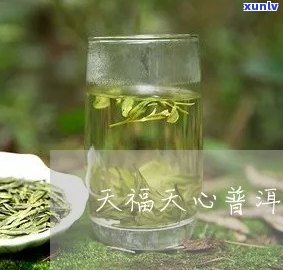 天福天心茶叶什么档次，解析天福天心茶叶的档次与品质