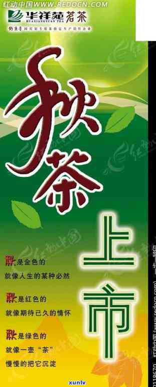 华祥苑茗茶价格代表-华祥苑茗茶品级与价格