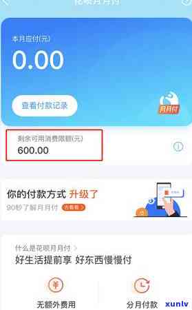 欠花呗1000多逾期，上海  催还，该怎么办？