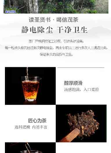 信茂堂驸马茶价格表-信茂堂驸马茶价格表 锦绣茶王