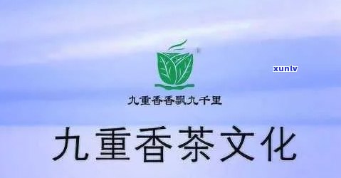 宜兴九香茶业，探索中国茶文化：宜兴九香茶业的茶叶艺术