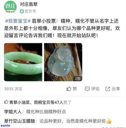 会卡糯冰种水-会卡糯冰料的特征