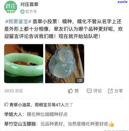 会卡糯冰种水-会卡糯冰料的特征