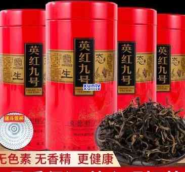 英红九号红茶什么档次？是高档茶吗？多少钱一斤？