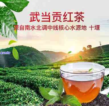 最新！2020年武当道茶红茶价格表全览