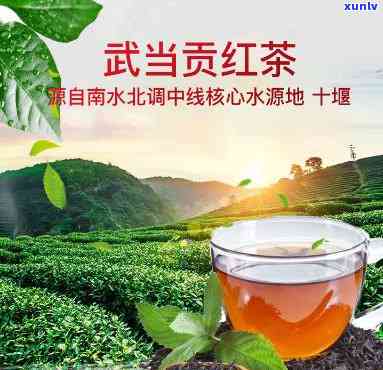 武当道茶红茶价格表-武当道茶红茶价格表2020