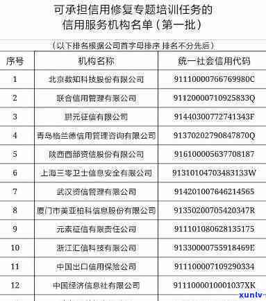 阳绿翡翠的价值与价格关系探讨：何谓真正的高品质翡翠？