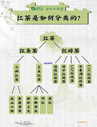 金坛红茶：定义、分类与基本介绍