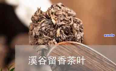 溪谷留香最贵的茶是什么，「揭秘」溪谷留香中最珍贵的茶叶究竟是什么？