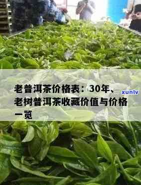 369年份老茶价格多少，2036年的老茶价格是多少？