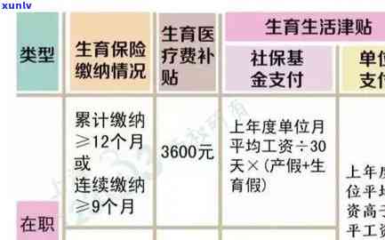 上海生育津贴超过一年是否返还？计算 *** 及金额是多少？