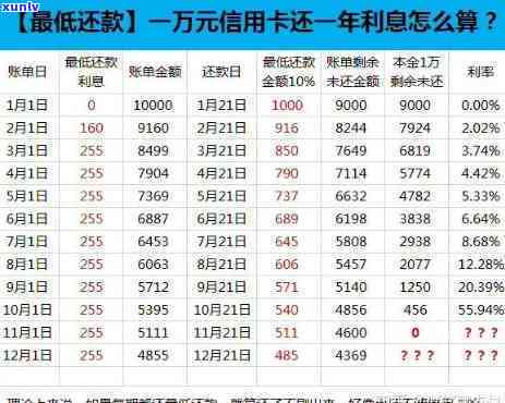 信用卡额度逾期可能面临的全面后果：了解不良信用记录、额外费用及解决方案