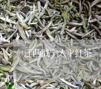 开普洱茶价格：一斤多少钱？