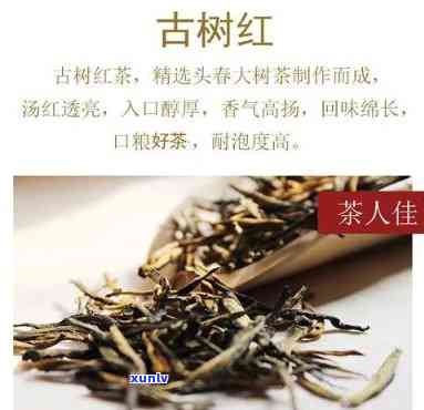 印象古树红茶价格表-印象古树红茶价格表大全