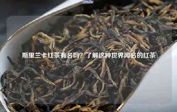 斯里兰卡红茶价格多少钱一斤，斯里兰卡红茶最新市场价格一览，每斤价格多少？